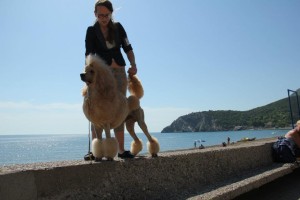 adriatic-cup