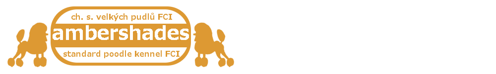 cropped-logo-horizontalni-web.png