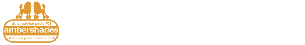 cropped-logo-vertikalni-web.png